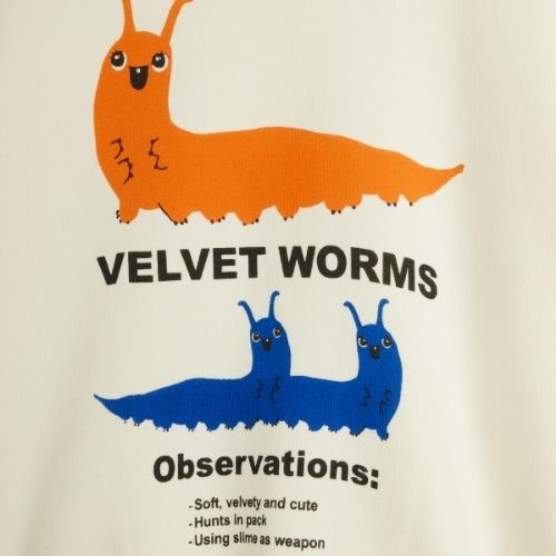 Mini Rodini velvet worms observations sp sweatshirt off-white-6