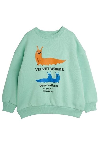 Mini Rodini velvet worms observations sp sweatshirt green