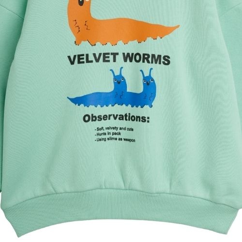 Mini Rodini velvet worms observations sp sweatshirt green-3
