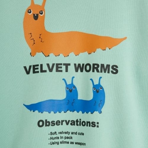 Mini Rodini velvet worms observations sp sweatshirt green-5