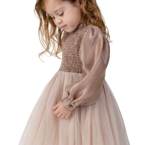 Donsje Amsterdam janice dress rose brown-3