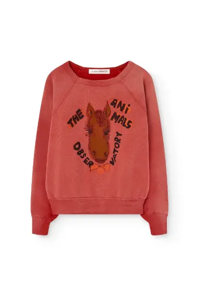 The Animals Observatory shark warm kid sweatshirt red