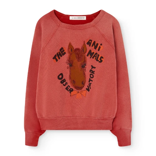 The Animals Observatory shark warm kid sweatshirt red-1
