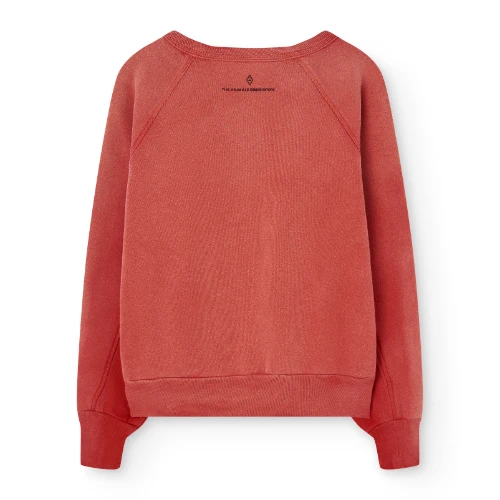 The Animals Observatory shark warm kid sweatshirt red-4