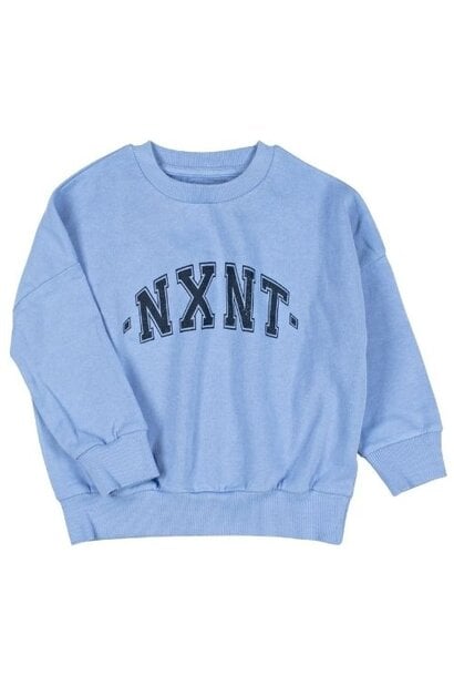 Nixnut logo sweater water