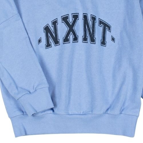 Nixnut logo sweater water-3