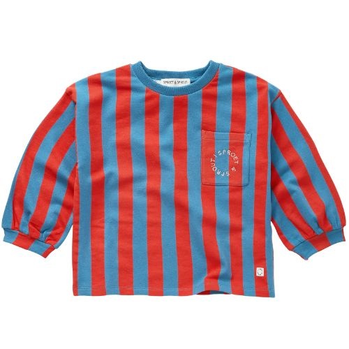 Sproet & Sprout sweatshirt boxy ls block stripe chalkboard blue-1