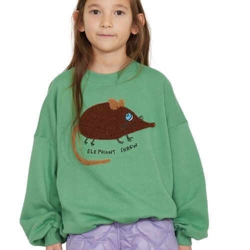 Mini Rodini elephant shrew chenille sweatshirt green-2