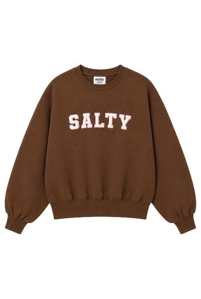 Salty Stitch sweater brown