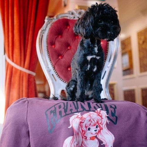 Call me Frankie cmf sally sweater-5