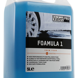 ValetPro SnowFoam ValetPro SnowFoam