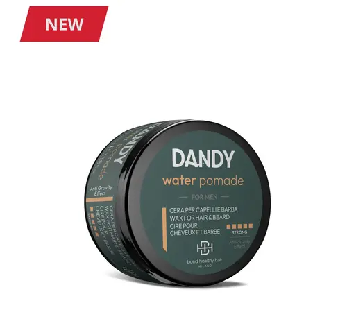 DANDY WATER POMADE 100ml