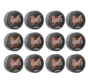 Aqua Wax Tampa Tobacco 150ml. Per 12 Stuks