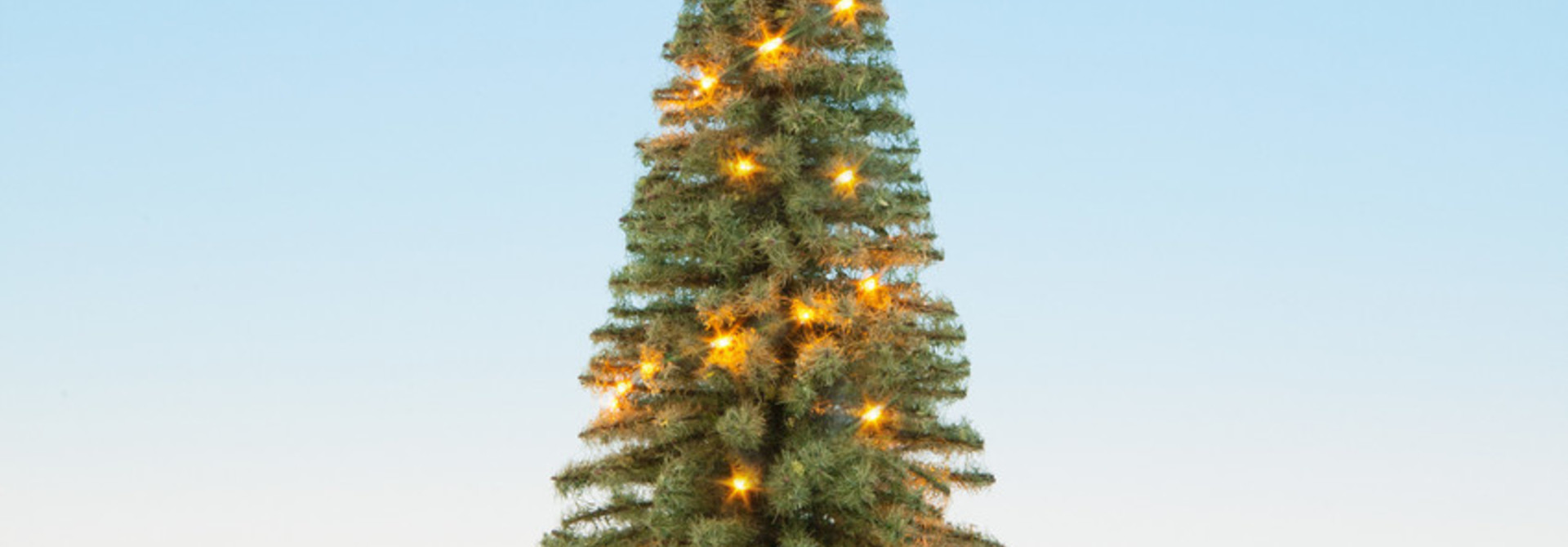 22131 Beleuchteter Weihnachtsbaum
