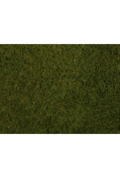 07282 Wildgras-Foliage