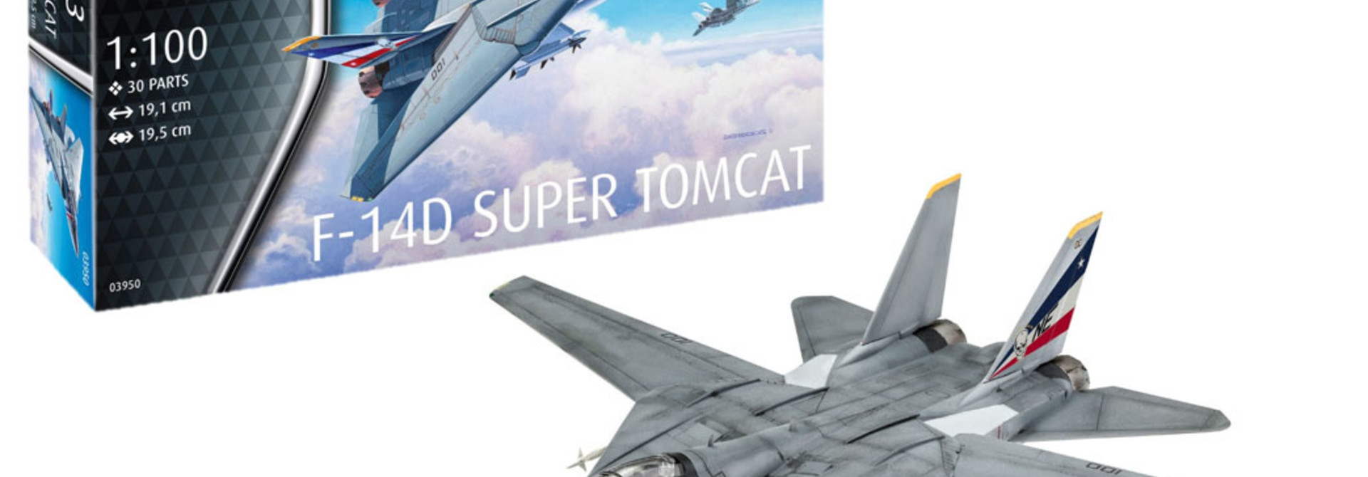 1:100 F-14D Super Tomcat