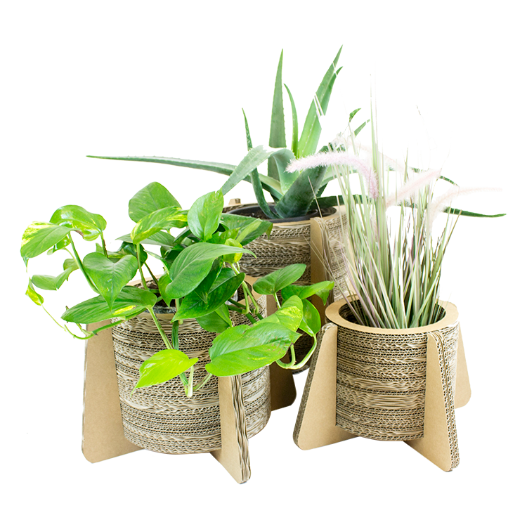 Sustainable flowerpot and plant pot Made of cardboard KarTent KarTent