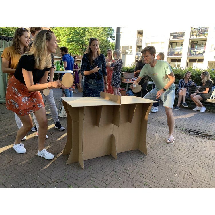 aanwijzing vermomming lekken Cardboard Ping Pong Table | Sustainable games - KarTent webshop