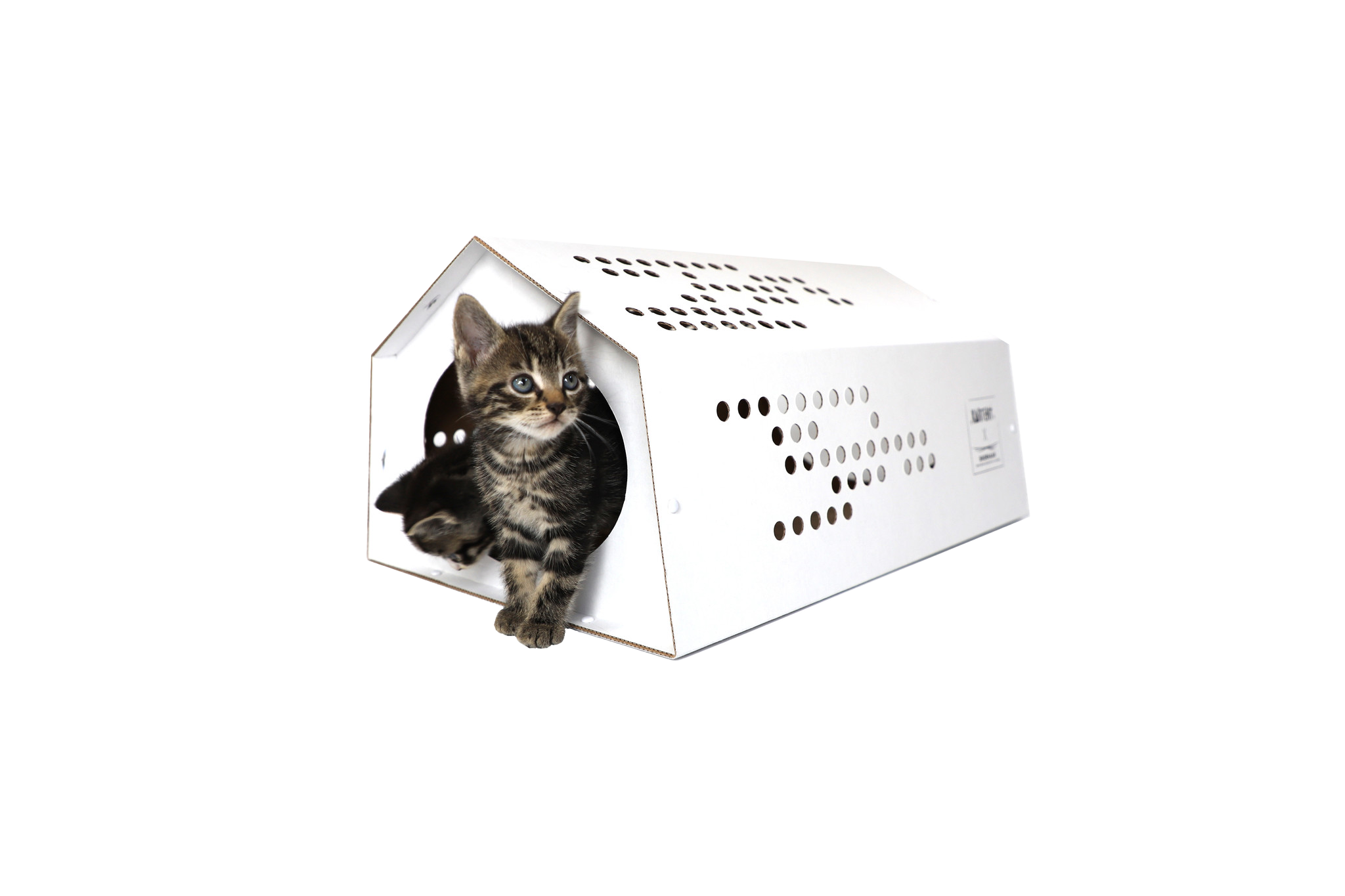 Cardboard Cat Tent CatTent KarTent