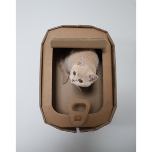 KarTent UK Cardboard cat basket sardines can