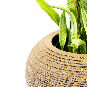 KarTent Cardboard plant pot Monstera