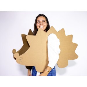 KarTent UK Cardboard hedgehog dressed costume