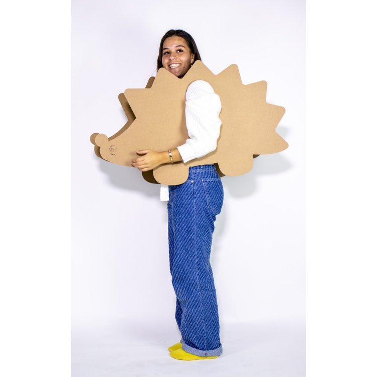 KarTent Cardboard hedgehog dressed costume