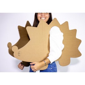 KarTent NL Cardboard hedgehog dressed costume