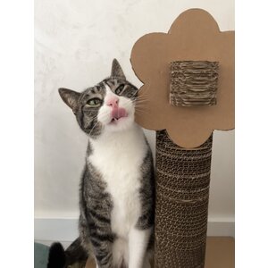 KarTent UK Cardboard cat scratching pole flower