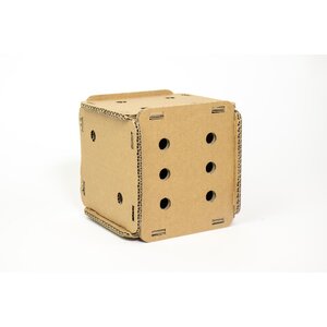 KarTent UK Cardboard feed ball dog dice