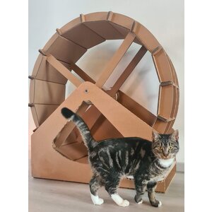 KarTent Cardboard cat walking wheel