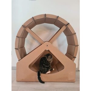 KarTent Cardboard cat walking wheel