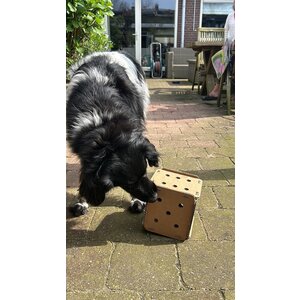 KarTent UK Cardboard feed ball dog dice