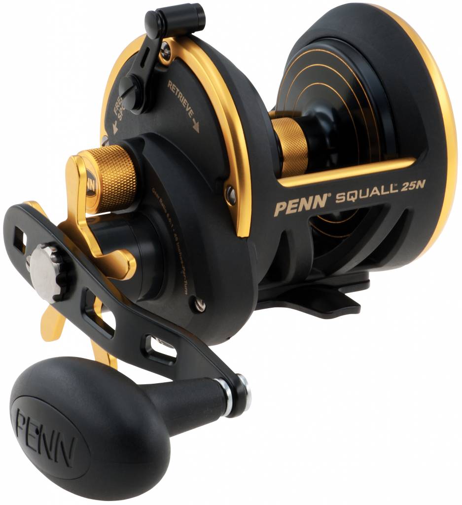 Penn Hengelsport Penn Squall Star Drag Reel