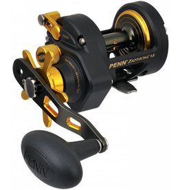 Penn Hengelsport Penn Fathom Star Drag Reel