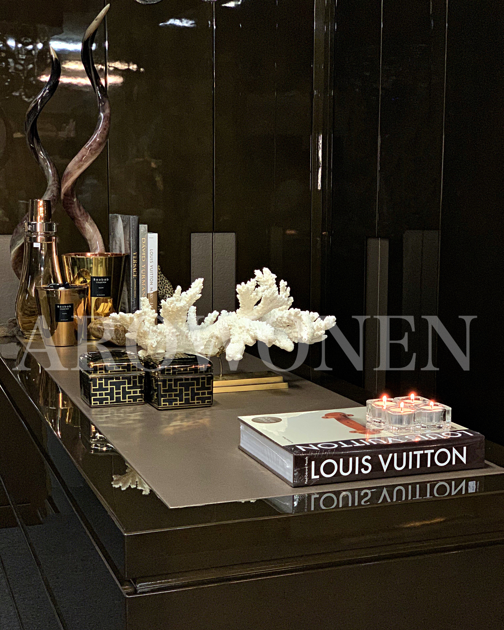 Designer Book Louis Vuitton The Birth of Modern Luxury Updated Edition