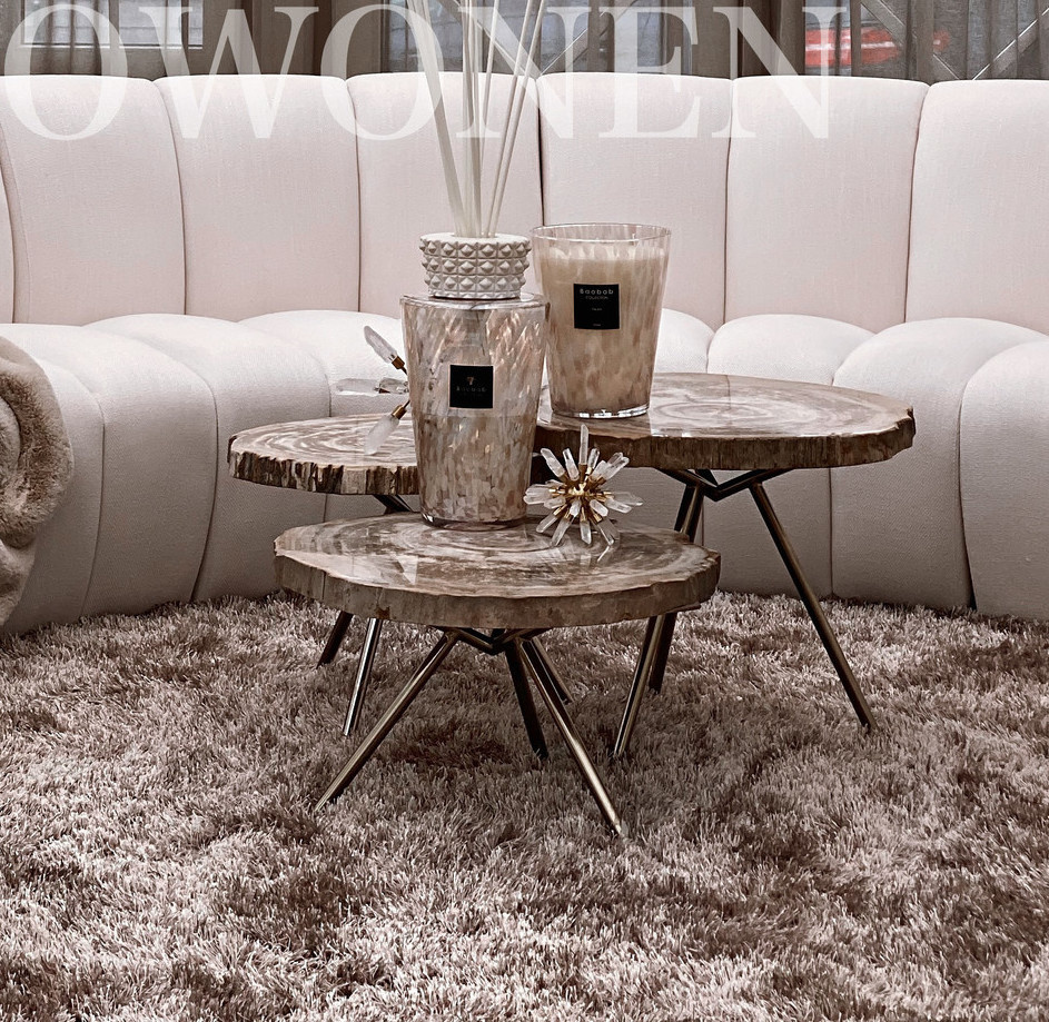 Coffee table Petrified wood set of 3