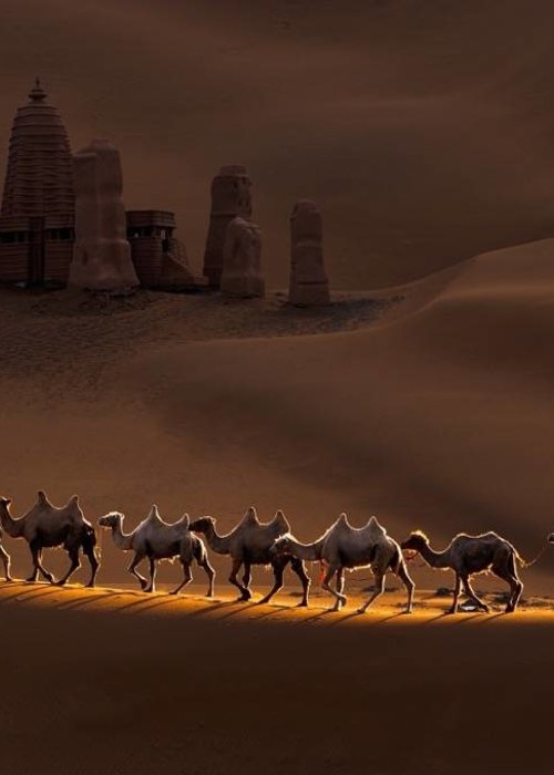 Art - Camels - 125x185cm