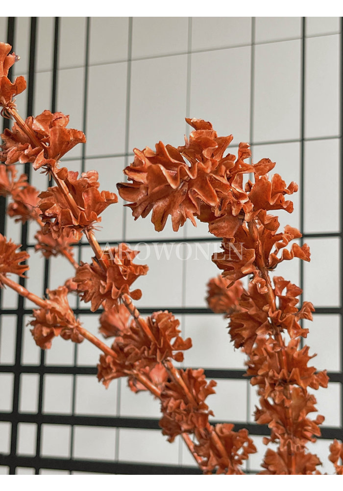 Branch - Clocks - Orange - 100 cm
