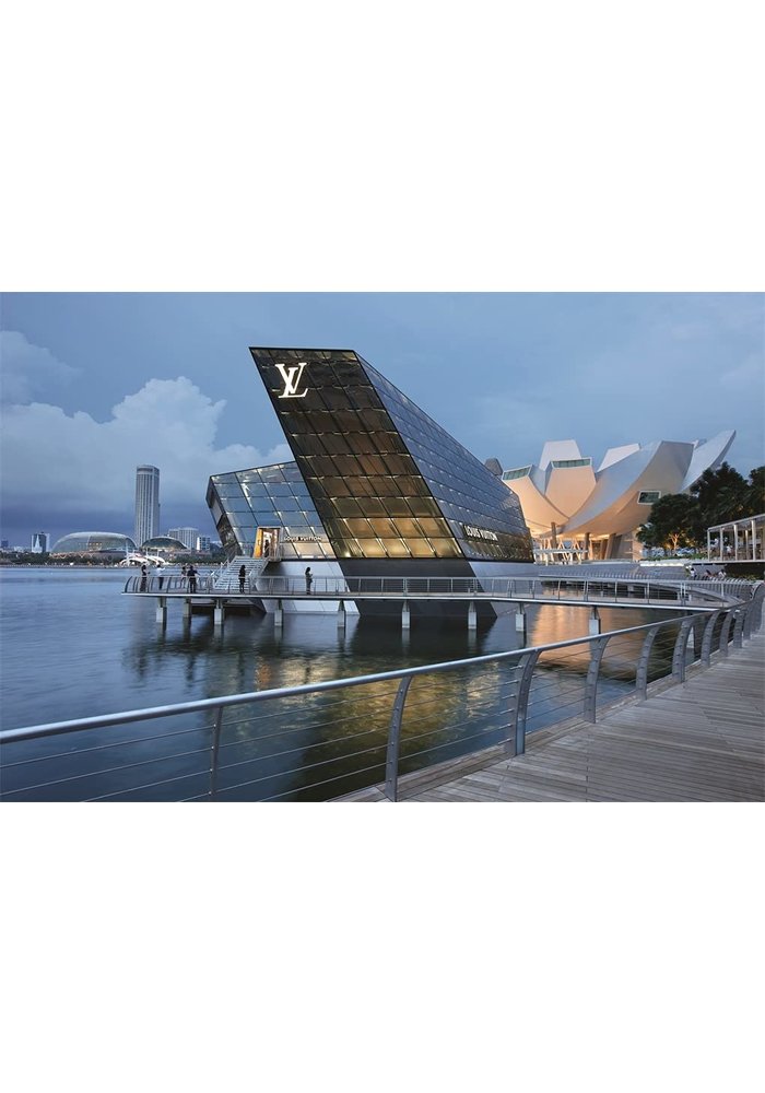 Louis Vuitton: The Birth of Modern Luxury Updated Edition [Book]