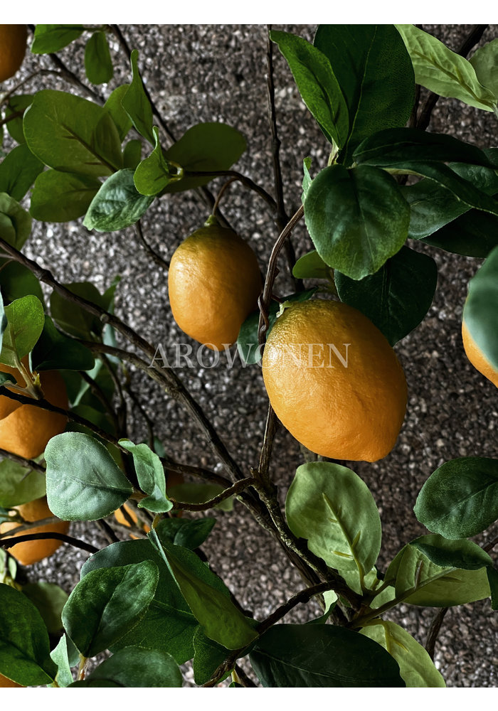 Lemon Branch - Make Lemonade - 123cm