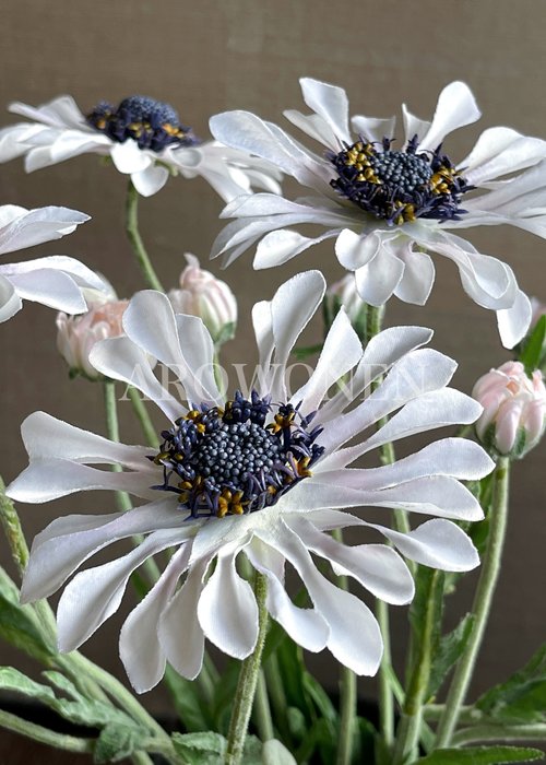 Flower Daisy - White