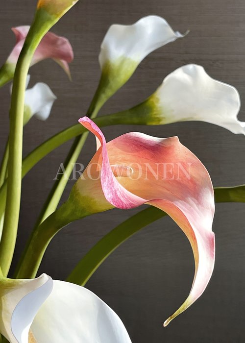Flower Omorfia - Pink