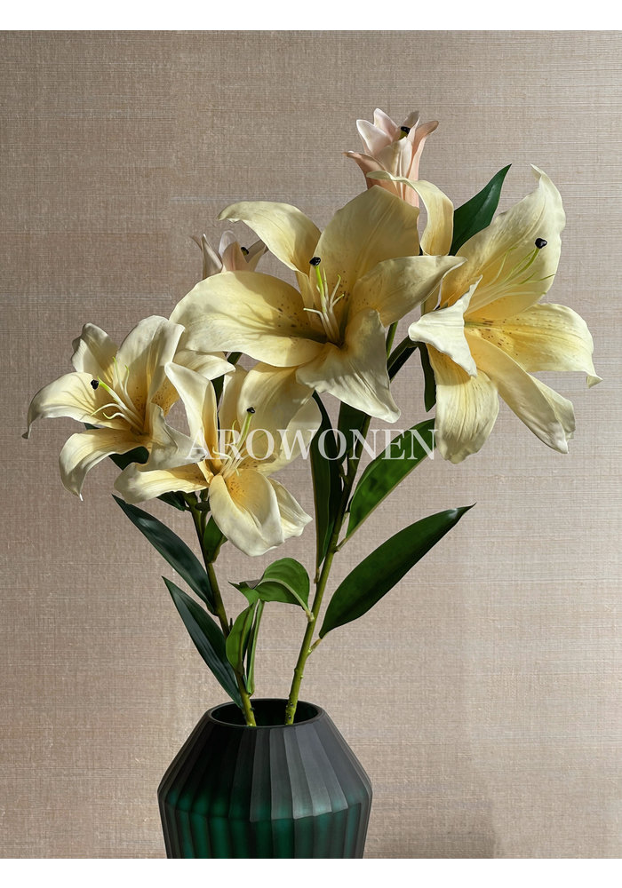 Flower - Lelie Amazonia - Yellow - 90 cm