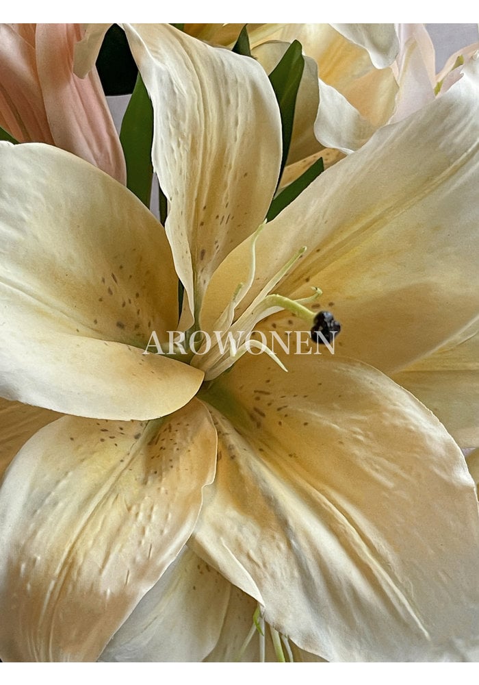 Flower - Lelie Amazonia - Yellow - 100 cm