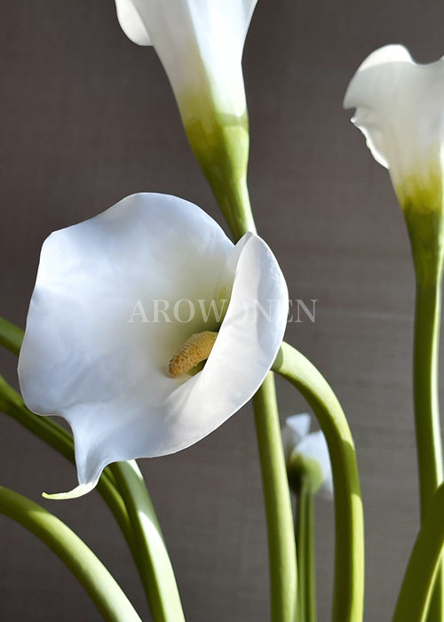 Fleur Omorfia - Blanc