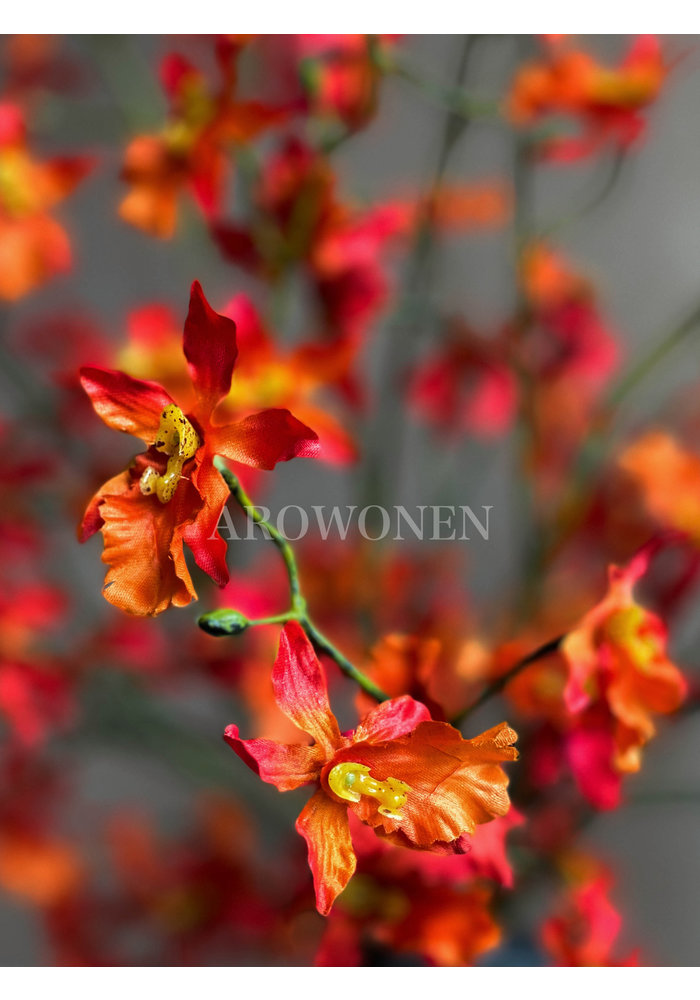 Bloem - Orchidee Fire flames - Oranje - 100 cm