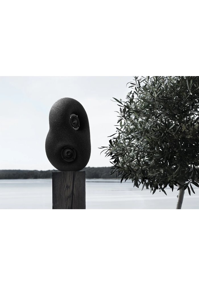 Speaker - Acustic Sculpture - Zwart