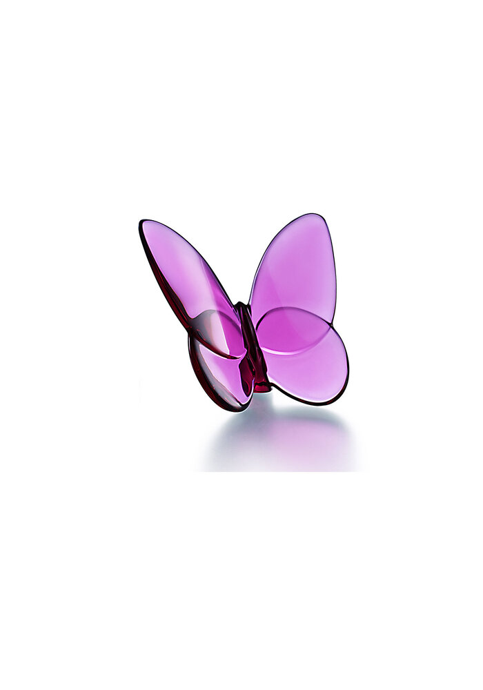 Papillon - Peony