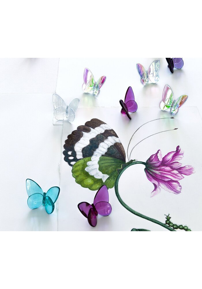 Papillon - Turquoise